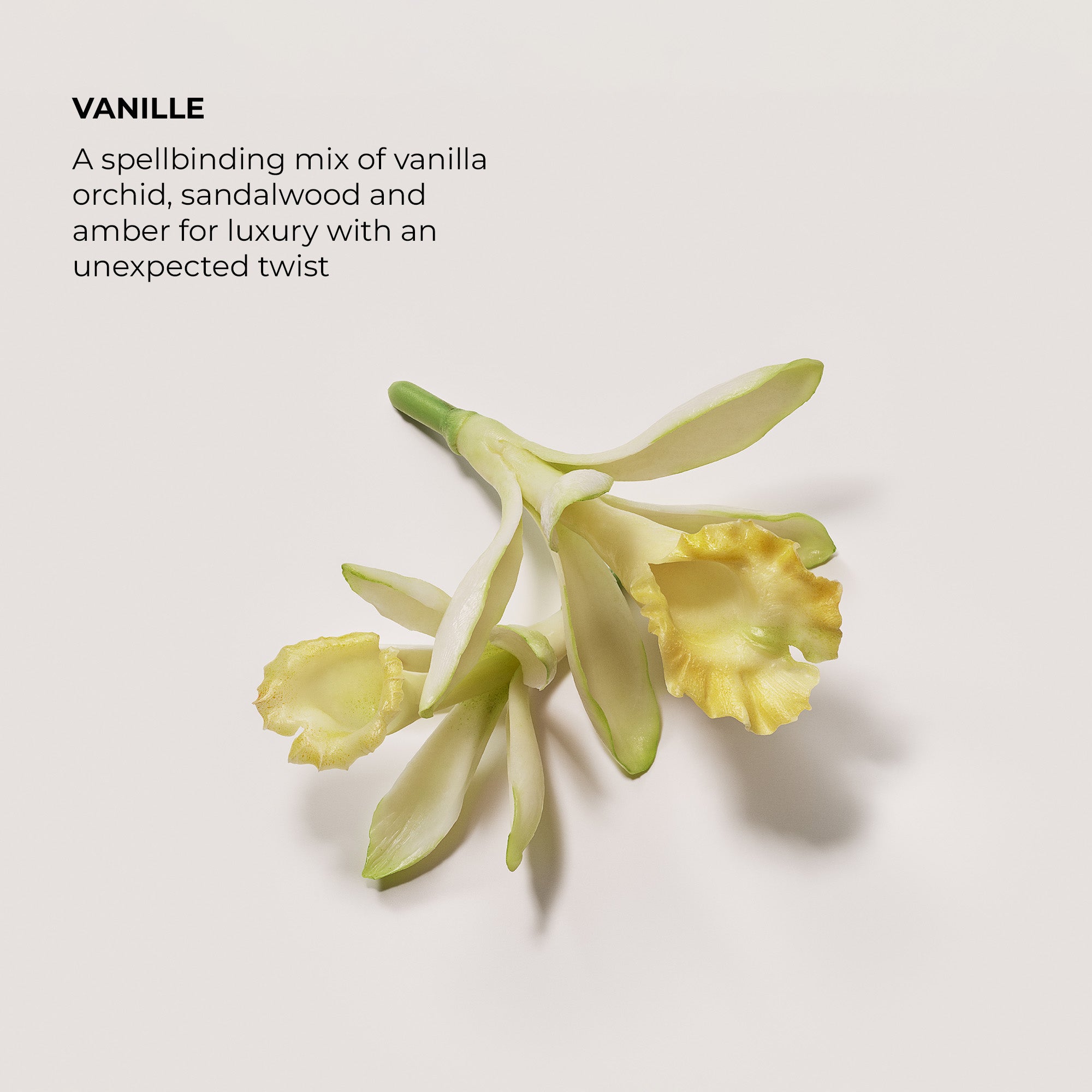 Vanille Eau de Parfum View 2