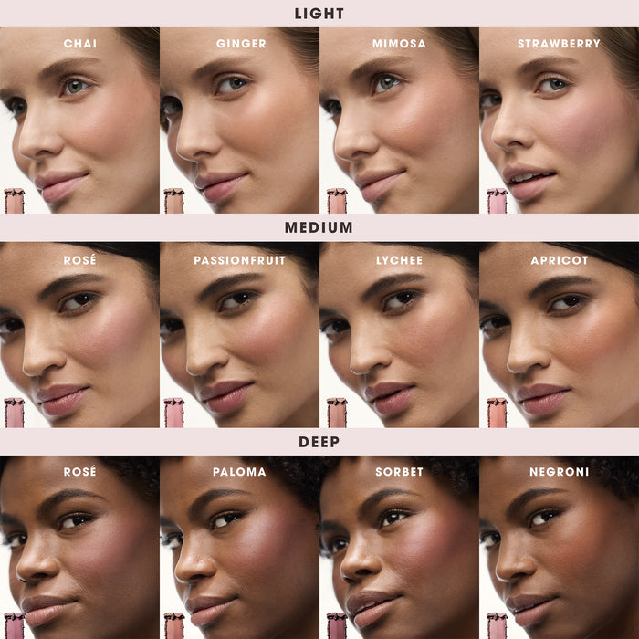 Blush Color Infusion Duo