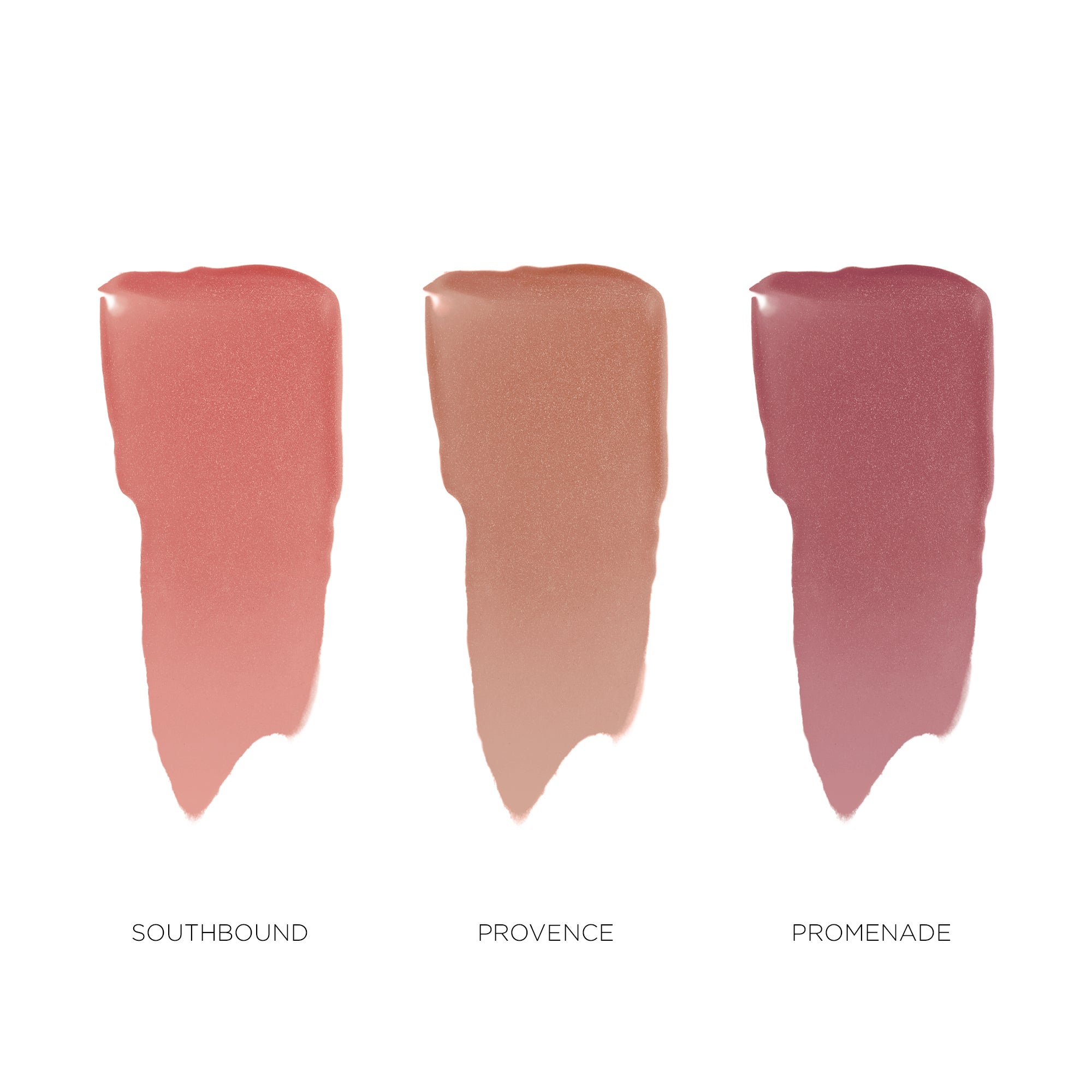 Glow and Go Forth Tinted Moisturizer Blush Collection
