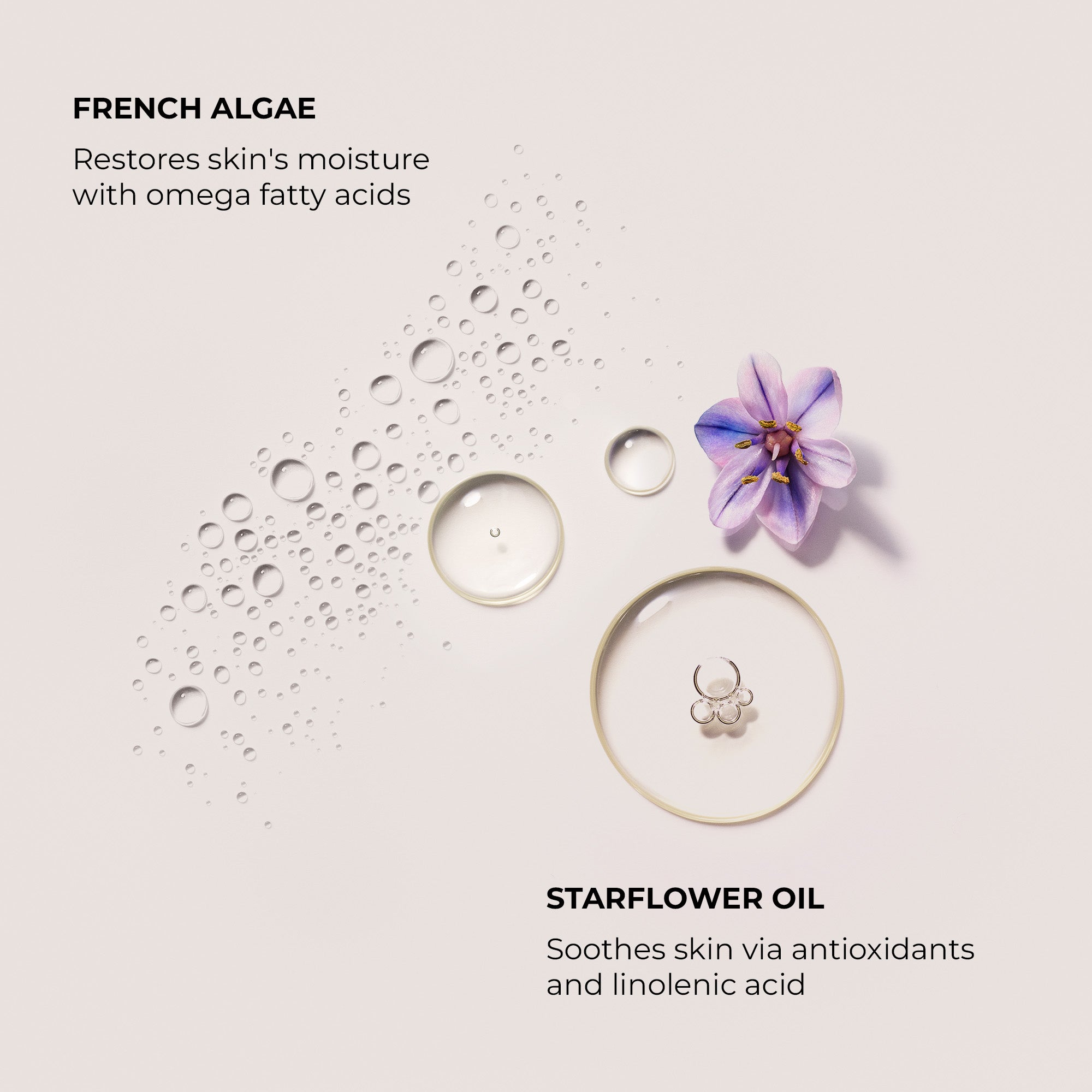 Ambre Vanille Soufflé Hand Cream view 3